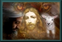 image du dccn