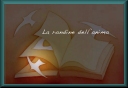 image du dccn