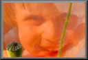 image du dccn
