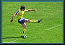 image du dccn