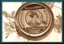 image du dccn