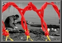 image du dccn
